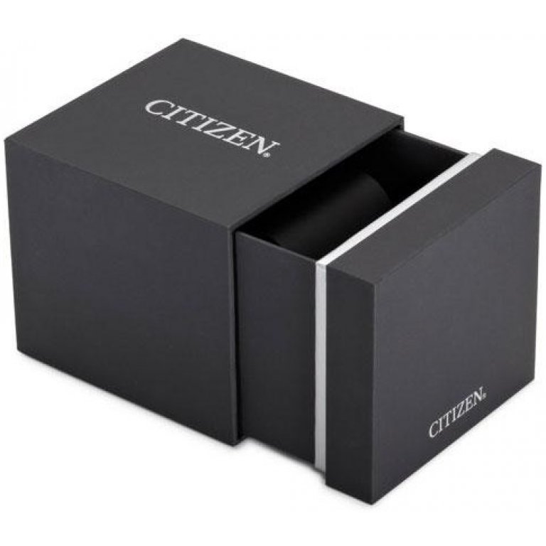 CITIZEN FB1317-53E
