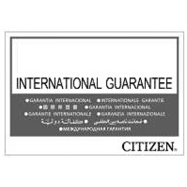 ECO-DRIVE FE1010-57B ACERO ECO-DRIVE EN LA TIENDA ONLINE DE CITIZEN ARGENTINA